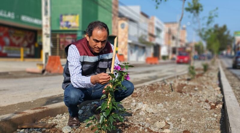 Arranca Pepe Saldívar programa de reforestación en espacios públicos de Guadalupe