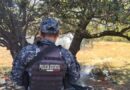 Desmantela SSP campamentos utilizados por grupos delincuenciales en Jerez