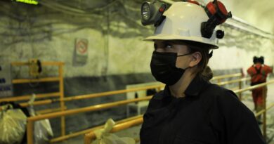 Lidera Zacatecas producción nacional de oro, plata, plomo y zinc