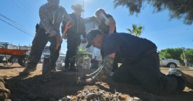 Avanza programa de reforestación en Guadalupe anunciado por Pepe Saldívar