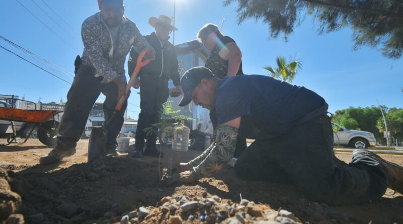 Avanza programa de reforestación en Guadalupe anunciado por Pepe Saldívar