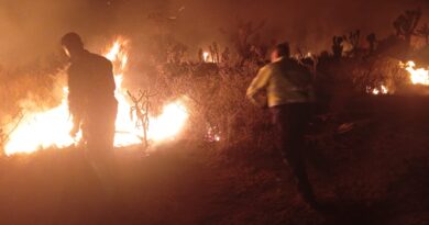 Liquidan brigadas incendio forestal en Villa de Cos