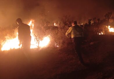 Liquidan brigadas incendio forestal en Villa de Cos