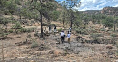 Realiza gobierno de Zacatecas diligencia de búsqueda de personas en Fresnillo