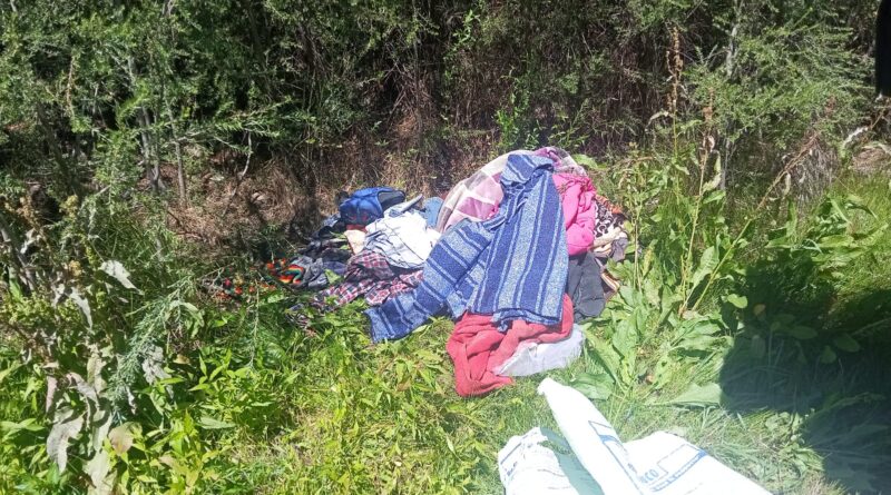 Autoridades desmantelan campamento presuntamente utilizado para actividades ilícitas, en zona limítrofe con Aguascalientes