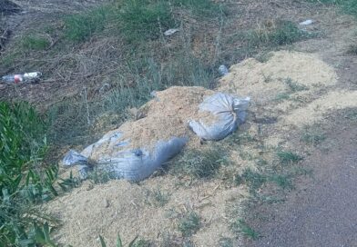 Aseguran Fuerzas de Seguridad más de 200 kilogramos de material explosivo en Aguascalientes, límites con Zacatecas Aseguran Fuerzas de Seguridad más de 200 kilogramos de material explosivo en Aguascalientes, límites con Zacatecas