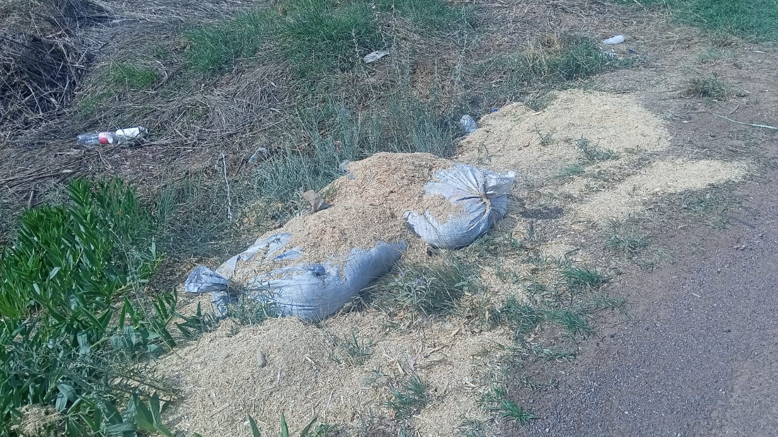 Aseguran Fuerzas de Seguridad más de 200 kilogramos de material explosivo en Aguascalientes, límites con Zacatecas