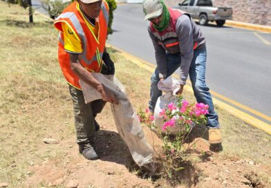Pepe Saldívar lleva programa de reforestación a Calzada Solidaridad