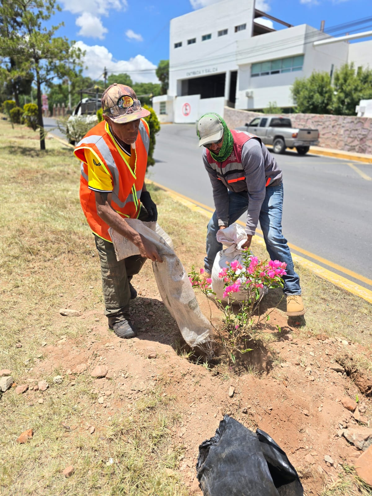 Pepe Saldívar lleva programa de reforestación a Calzada Solidaridad