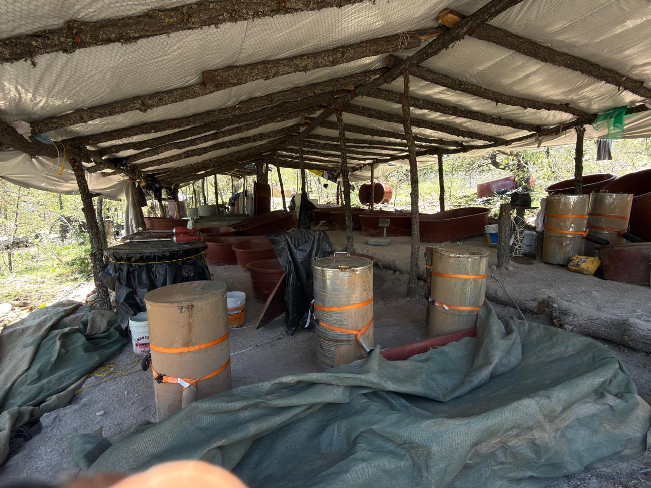 Aseguran Fuerzas de Seguridad laboratorio clandestino para elaboración de drogas sintéticas en Fresnillo