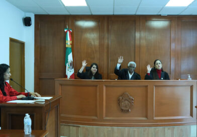 PLENO DEL TDJ RESUELVE CON CARÁCTER URGENTE INCIDENTE DE MEDIDA CAUTELAR