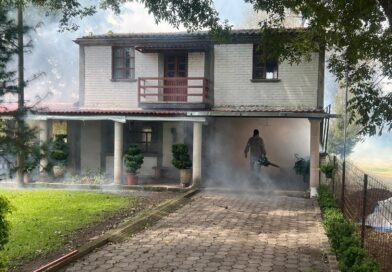 Da seguimiento SSZ a siete nuevos casos de dengue autóctono en el estado