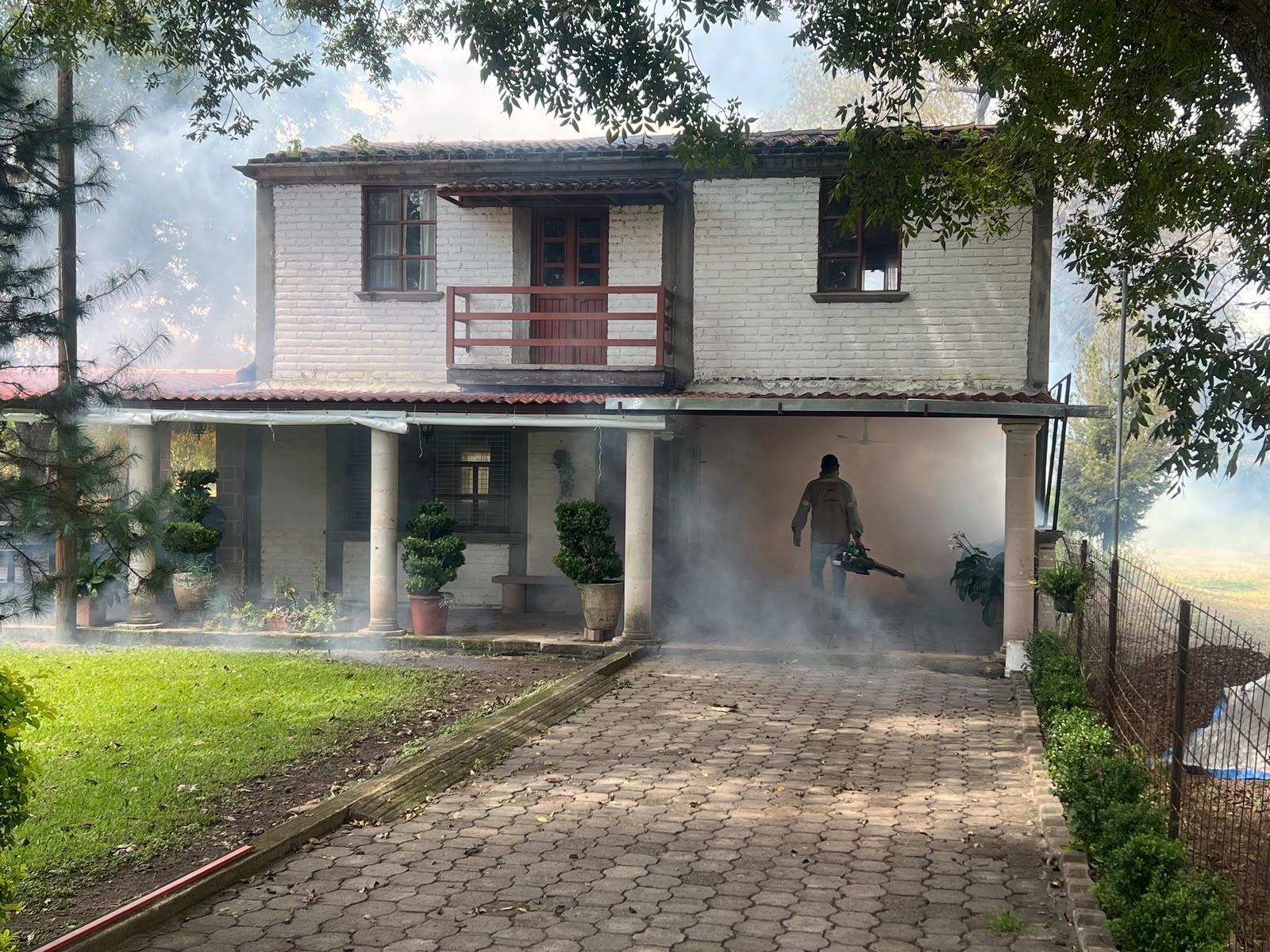 Da seguimiento SSZ a siete nuevos casos de dengue autóctono en el estado