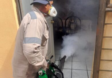 Actualiza SSZ cifra de casos de dengue en el estado; se da seguimiento a 15 de tipo autóctono y dos foráneos